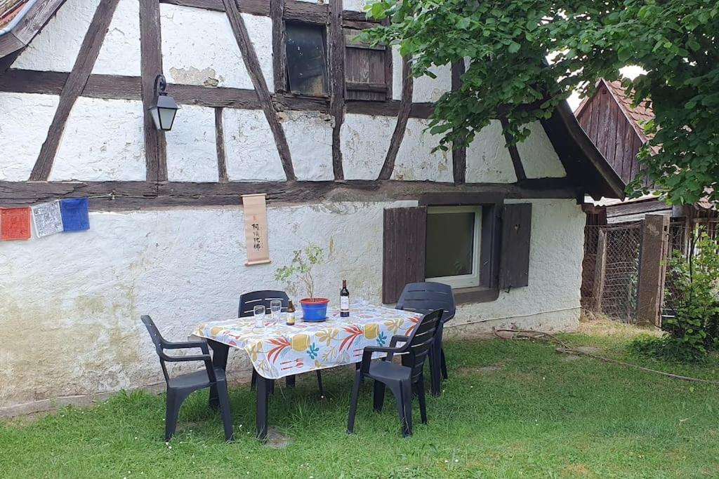 Le Berger Du Salzbach Villa Romanswiller Bagian luar foto